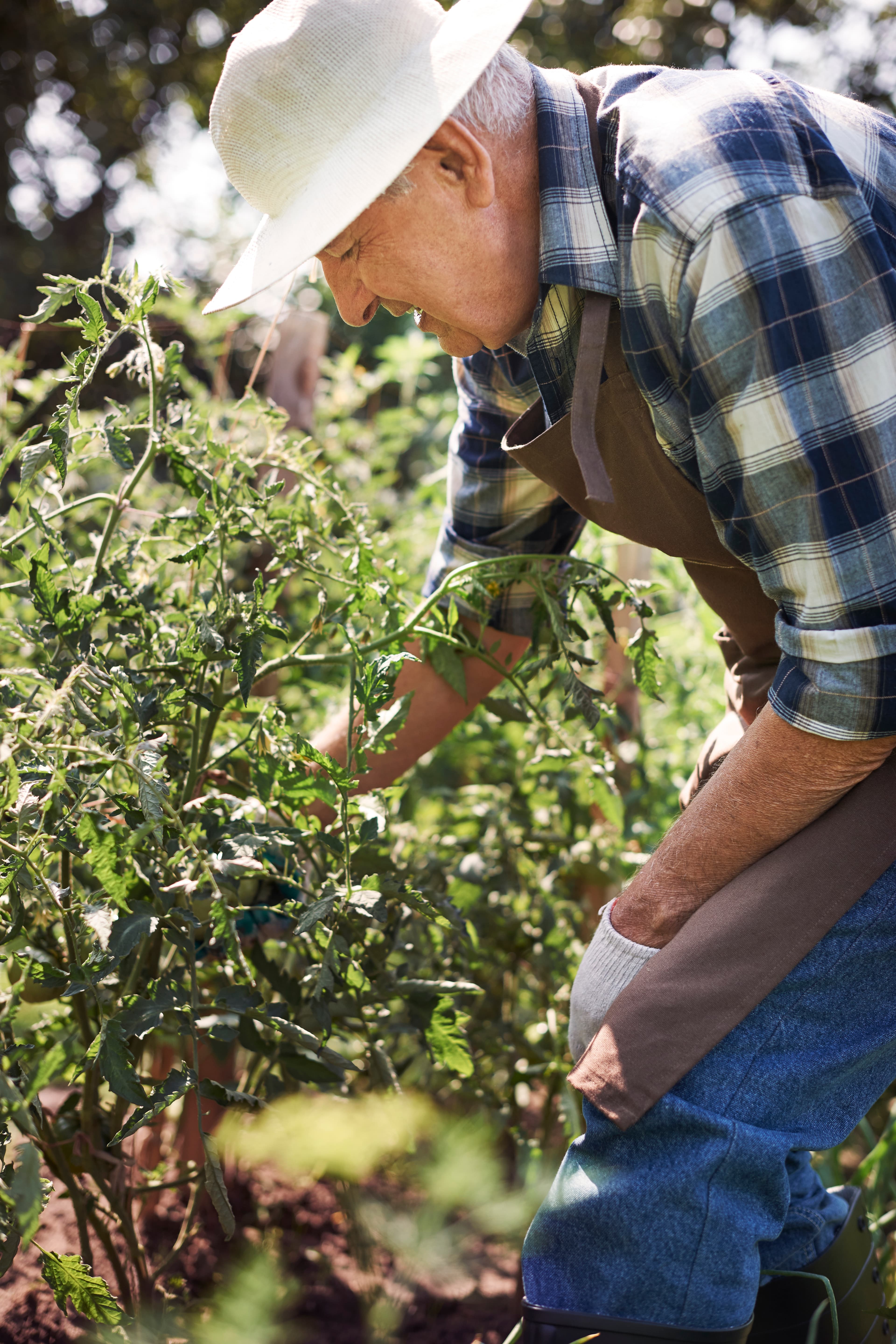 Interior de la Fábrica Hilal